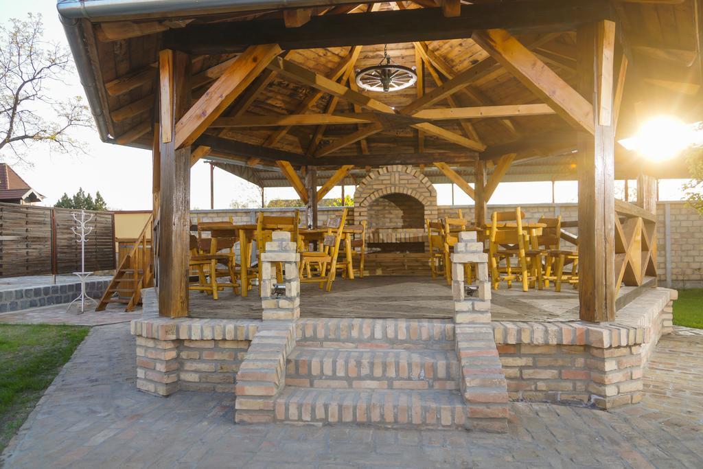 Amfora Palic